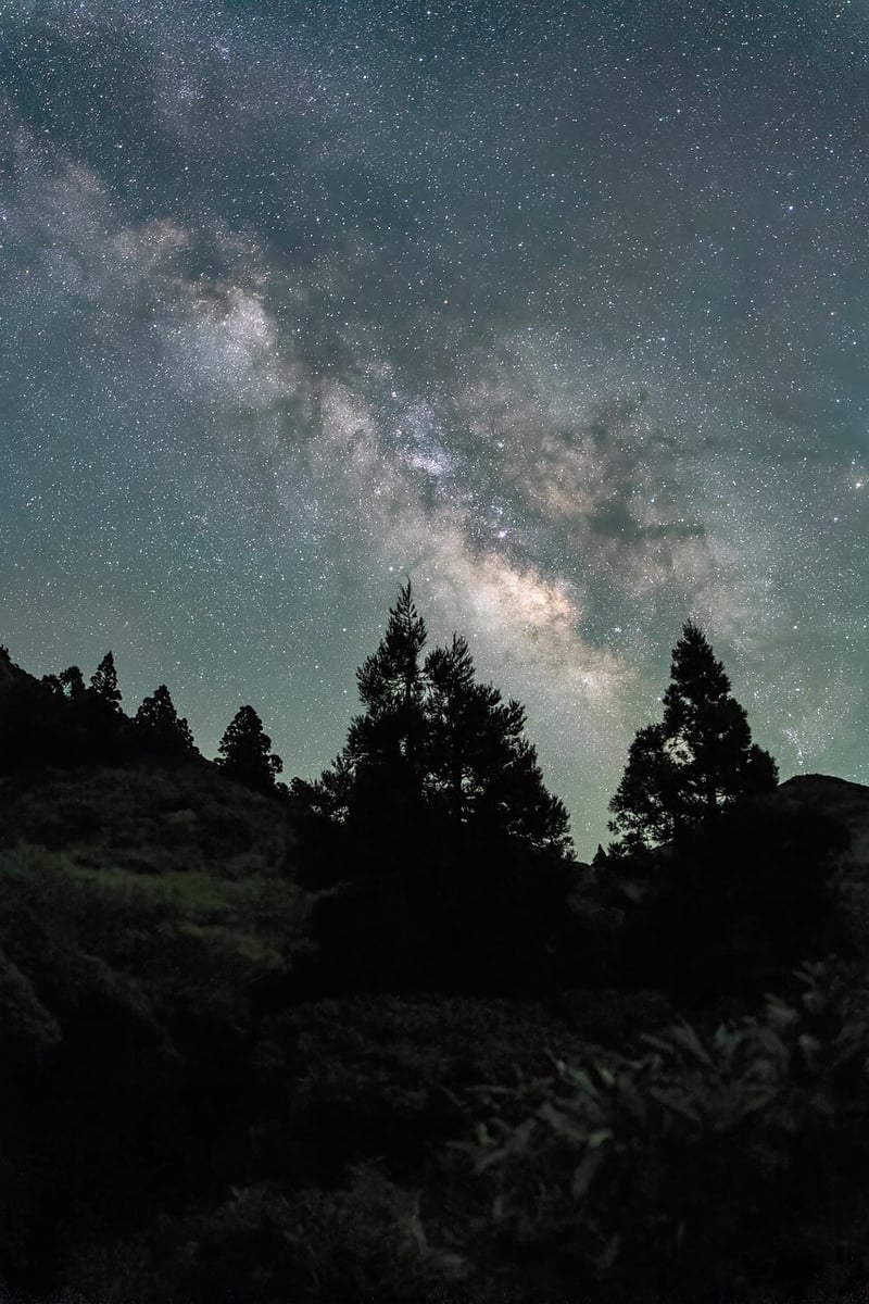 Treehouse under the stars
